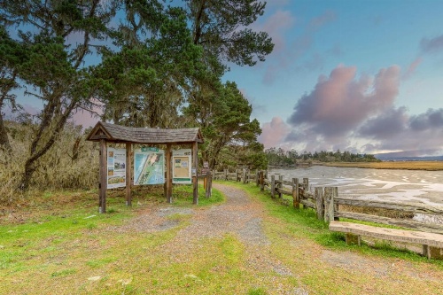 Allegra's Cottage image 16