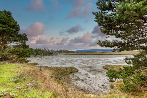 Allegra's Cottage image 21