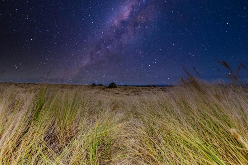 Allegra's Cottage image 24