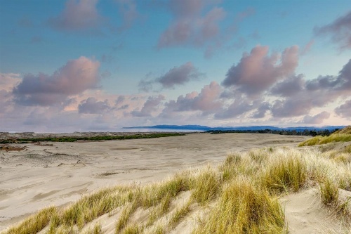 Allegra's Cottage image 32